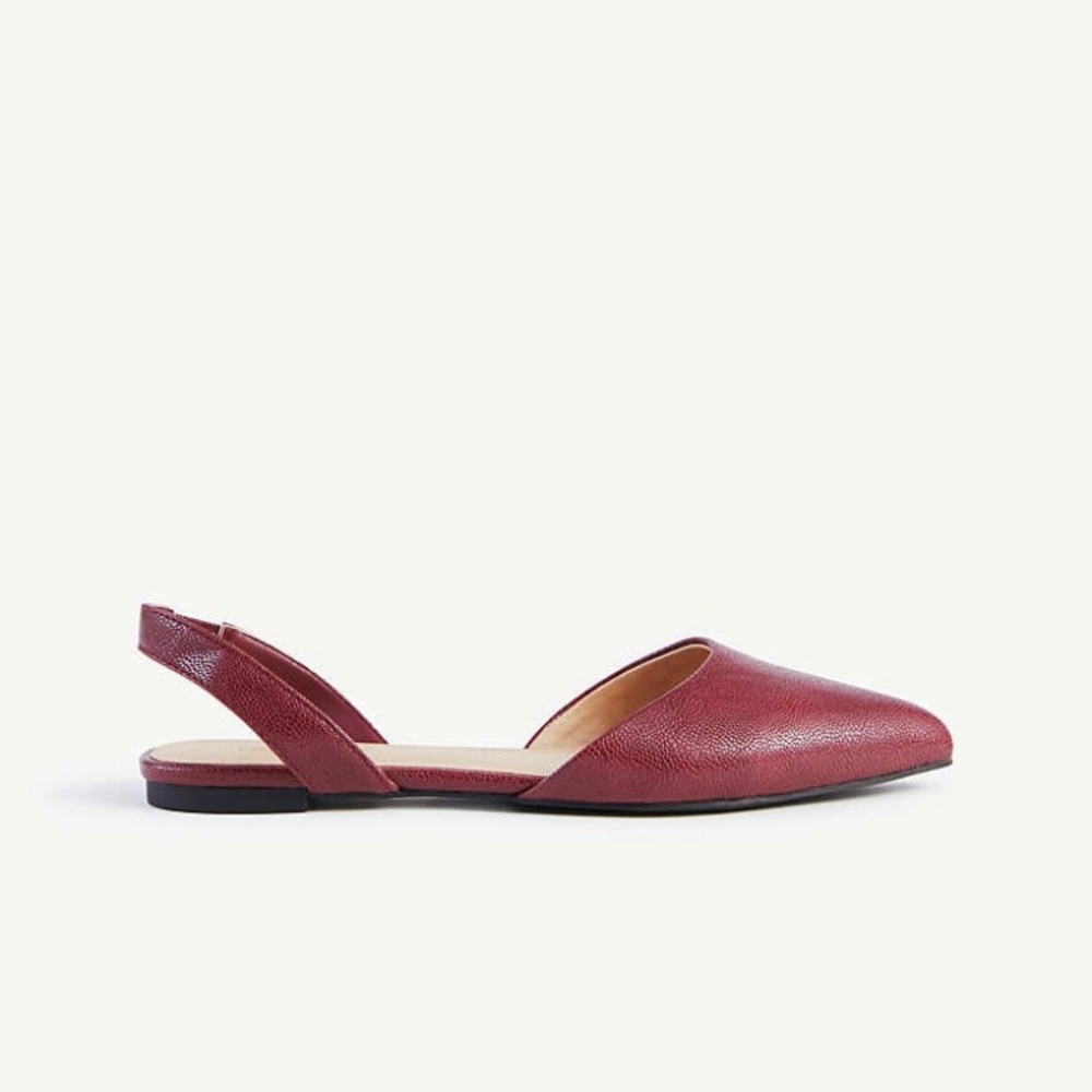 Ann Taylor Slingback Pointy Toe Flats